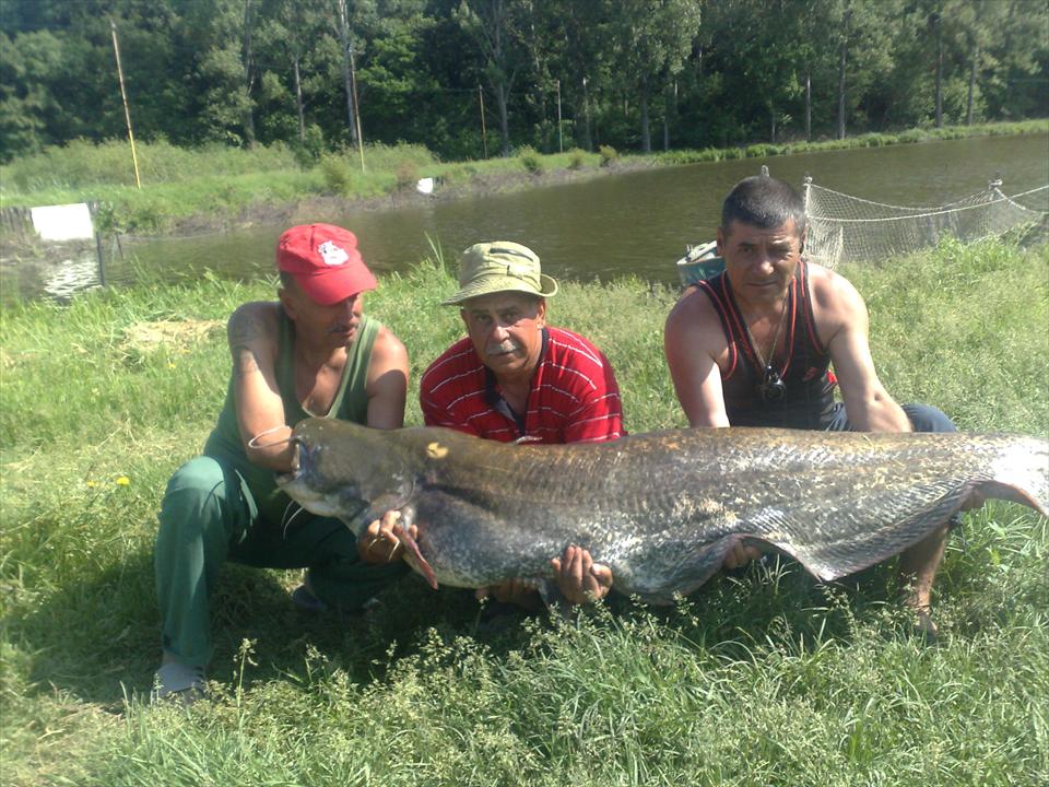 SOMN RECORD la Moara Vlasiei 2 - 47 kg